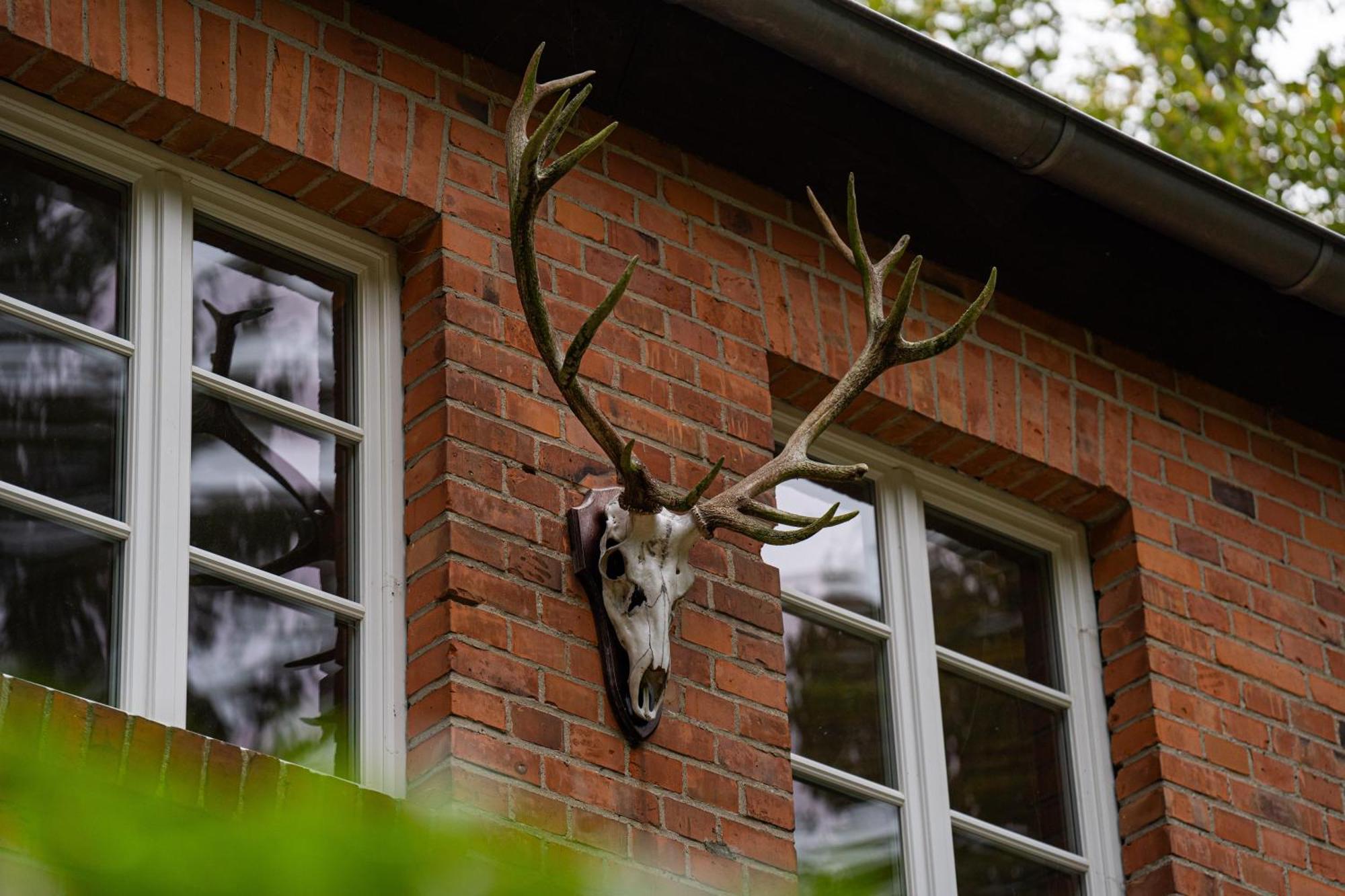 Wald- Und Seeidyll Im Historischen Forsthaus Neuruppin Exteriör bild